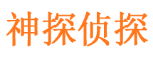 平乡市私家侦探